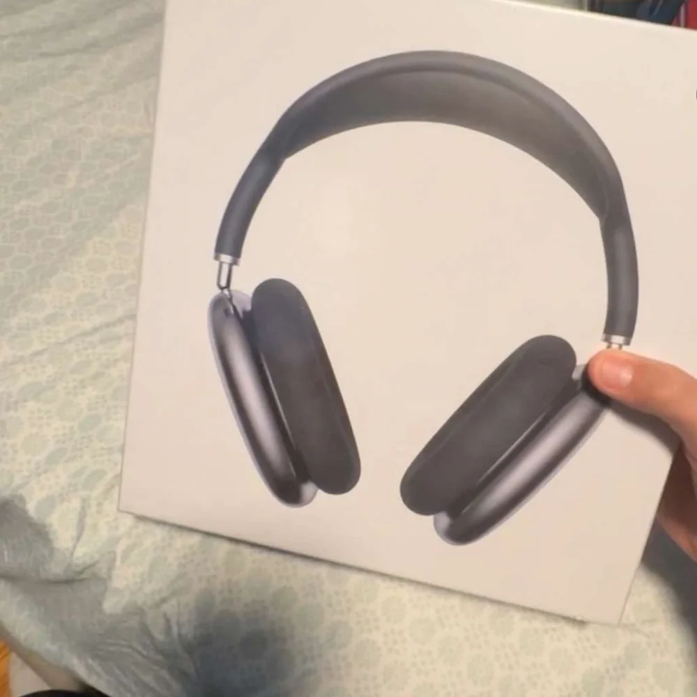 Apple Black Headphones